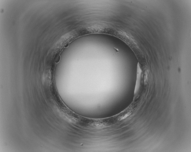 X0000070400498200606161349