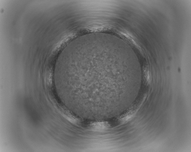 X0000070400499200606161349