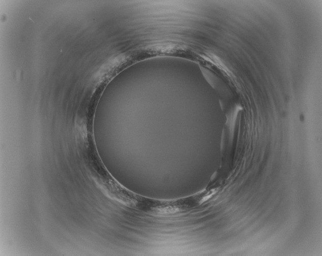 X0000070400500200606161349