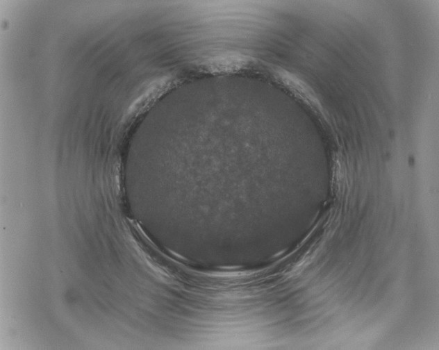 X0000070400501200606161349