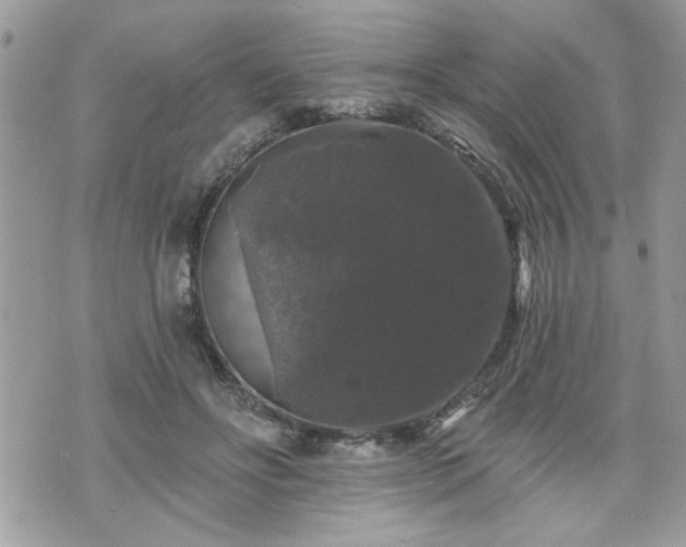 X0000070400502200606161349