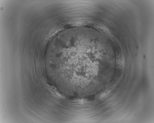 X0000070400503200606161349