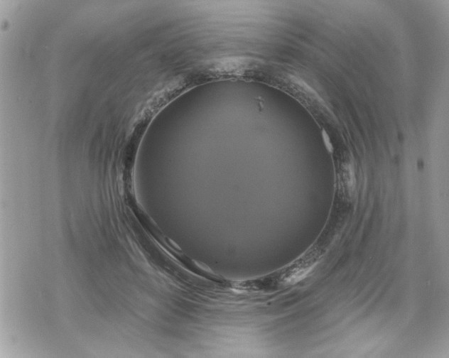 X0000070400504200606161349