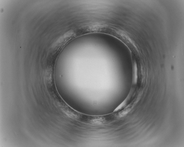 X0000070400505200606161349