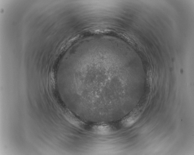 X0000070400506200606161349