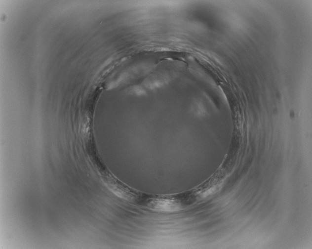 X0000070400507200606161349