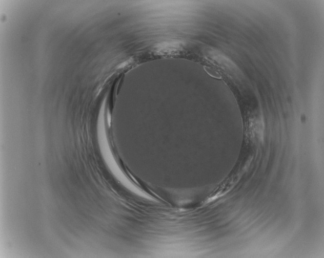 X0000070400508200606161349