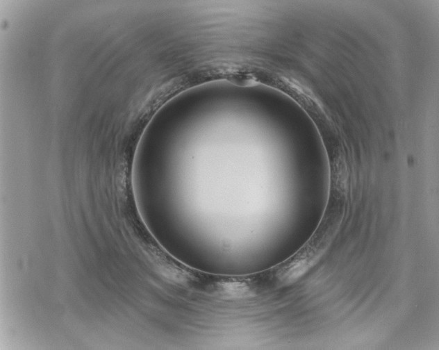 X0000070400509200606161349