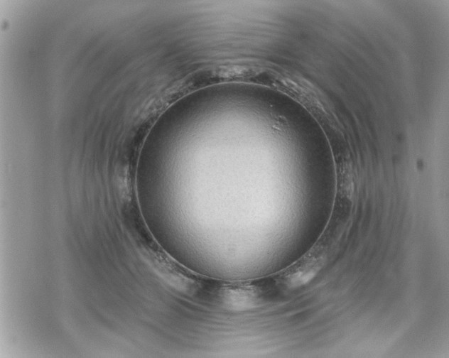 X0000070400510200606161349