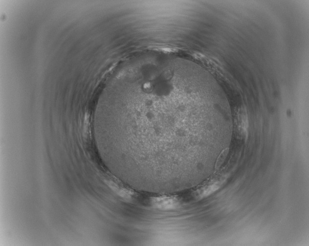 X0000070400511200606161349