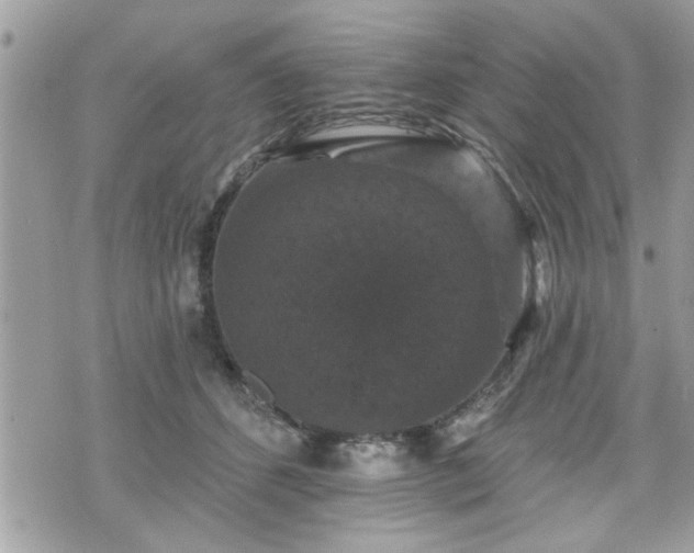 X0000070400512200606161349