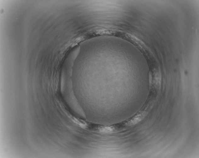 X0000070400513200606161349