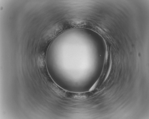 X0000070400515200606161349