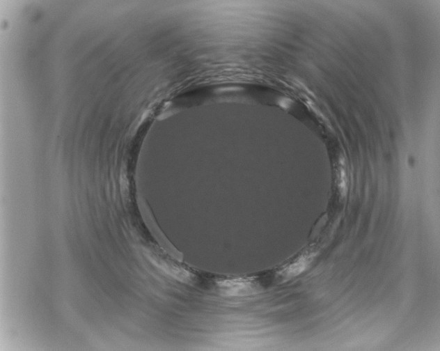 X0000070400516200606161349