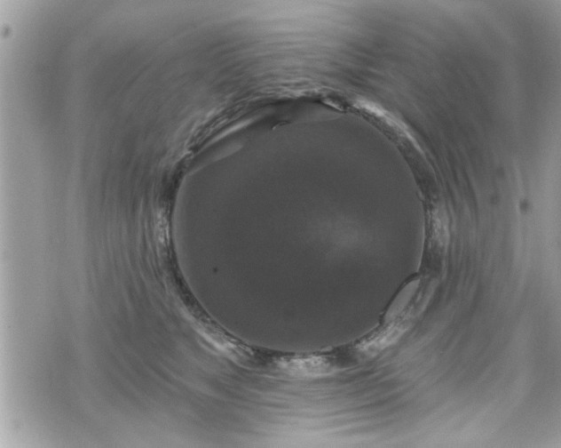 X0000070400517200606161349