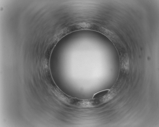 X0000070400518200606161349