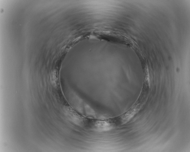 X0000070400519200606161349