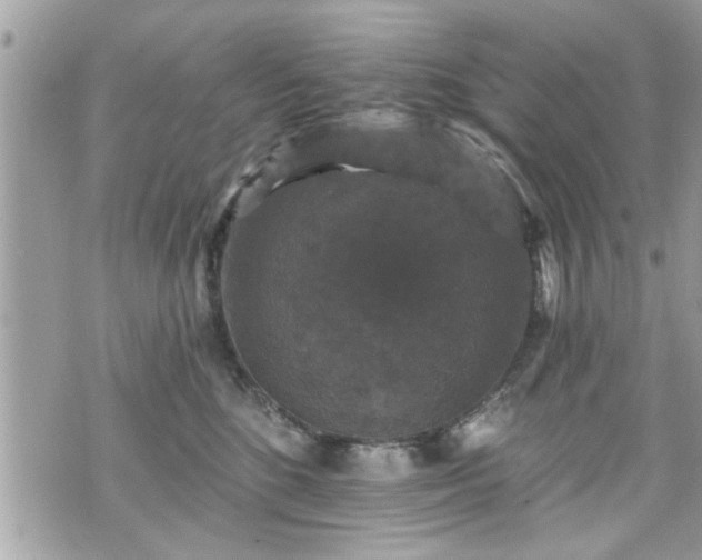 X0000070400520200606161349