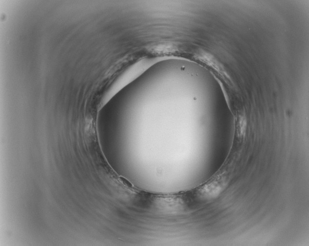 X0000070400521200606161349