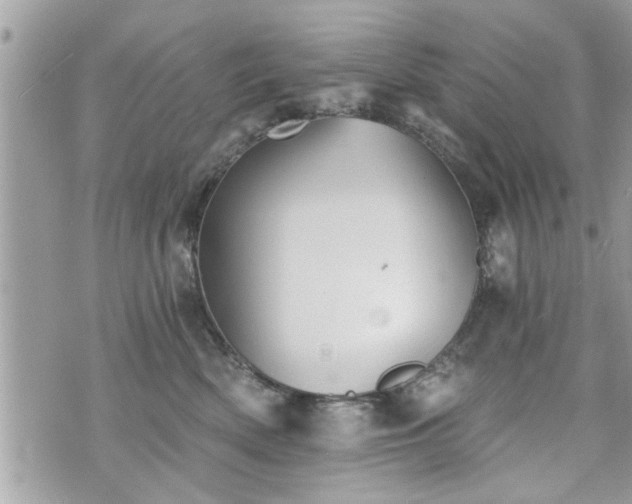 X0000070400522200606161349