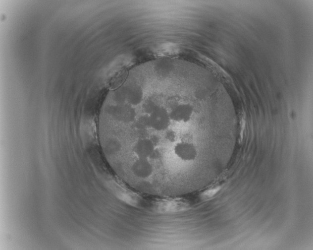 X0000070400523200606161348