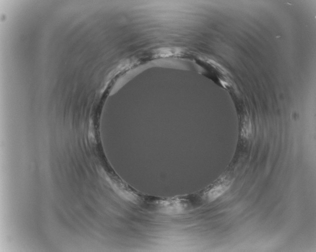 X0000070400524200606161348