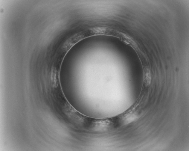 X0000070400525200606161348