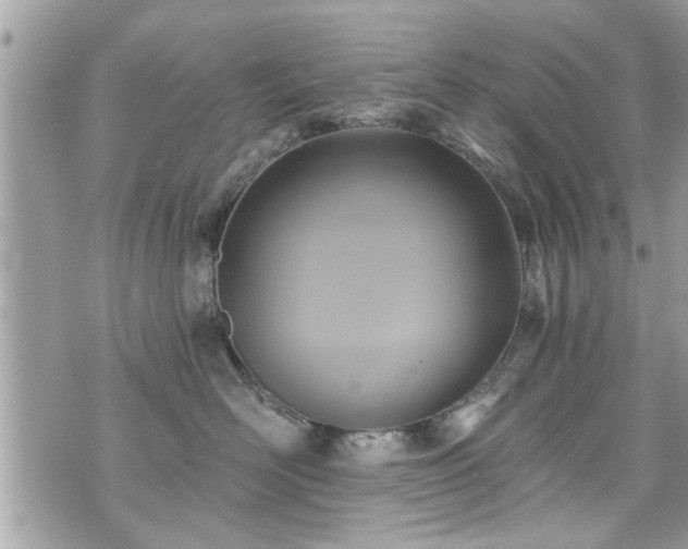 X0000070400526200606161348