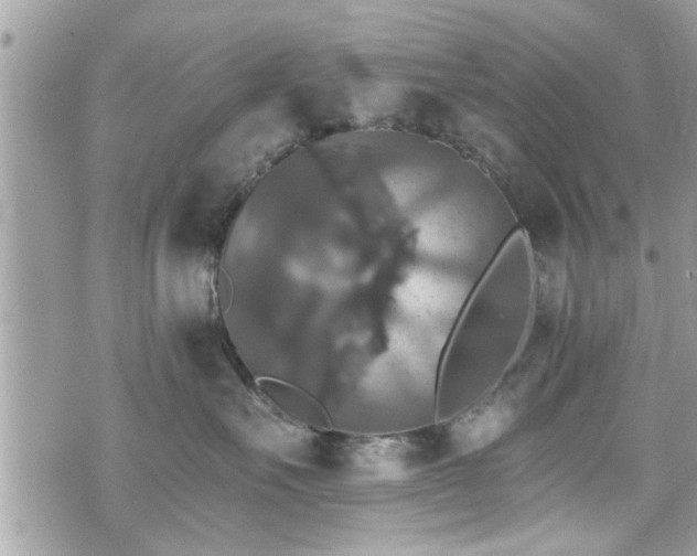 X0000070400527200606161348