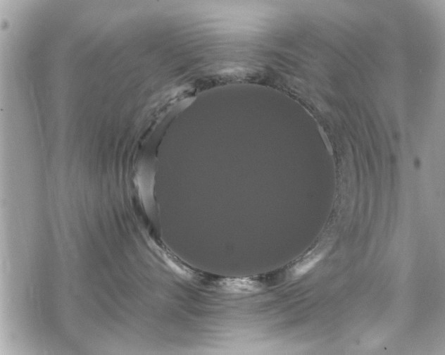 X0000070400528200606161348