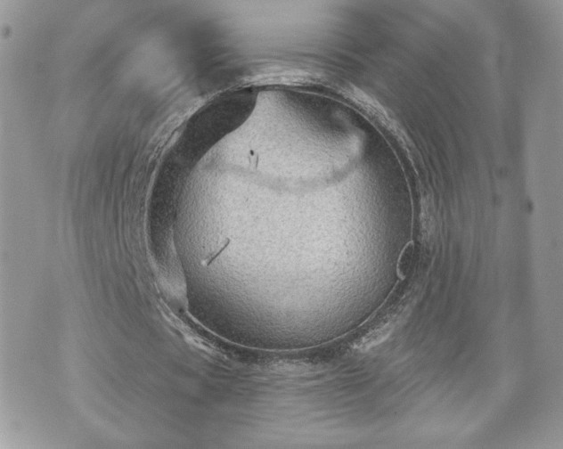 X0000070400529200606161348