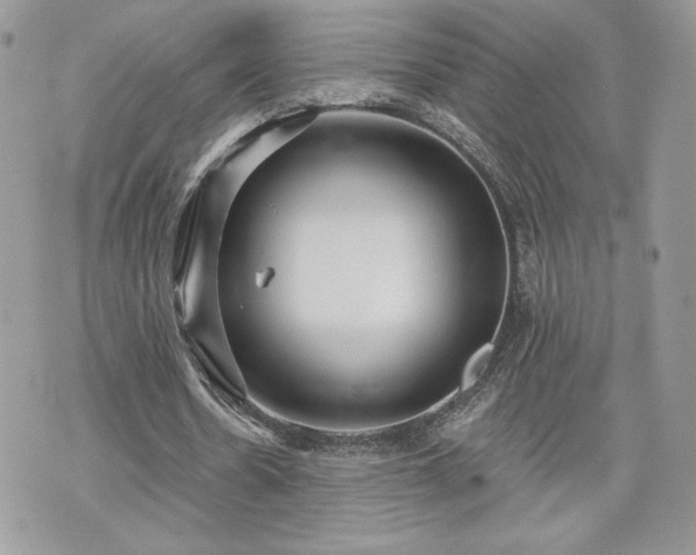 X0000070400530200606161348