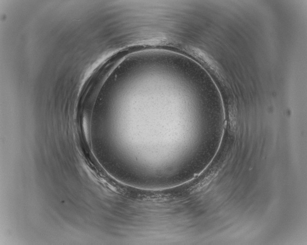 X0000070400532200606161348