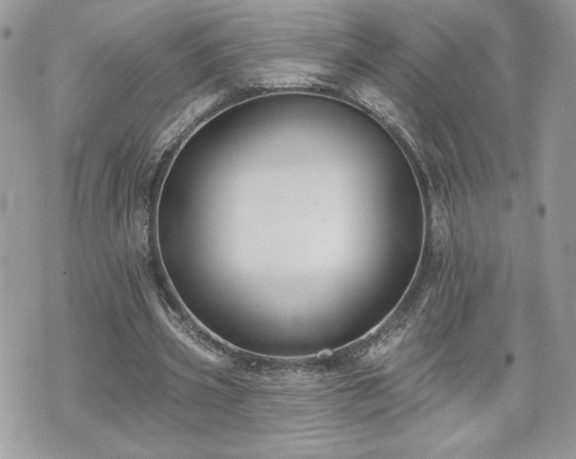 X0000070400533200606161348