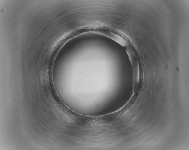 X0000070400535200606161348