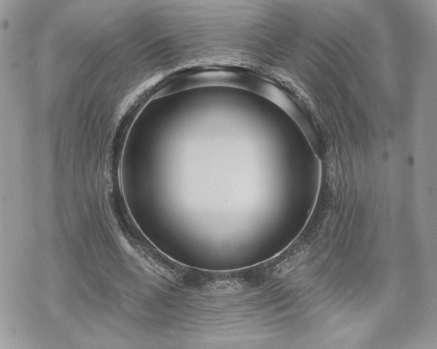 X0000070400536200606161348