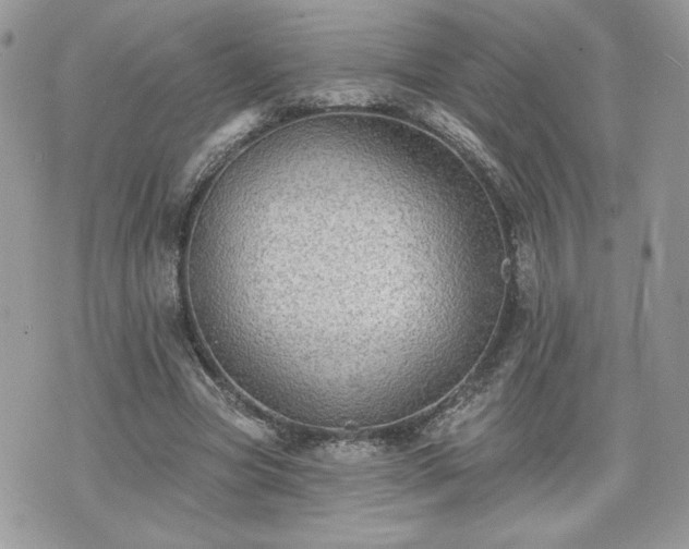 X0000070400537200606161348