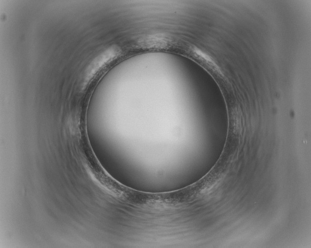 X0000070400538200606161348