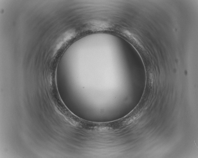 X0000070400539200606161348