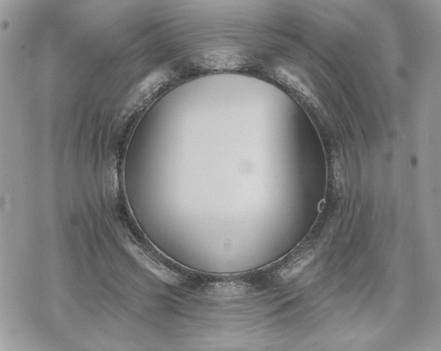 X0000070400541200606161348