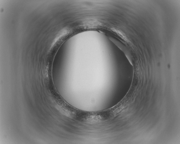 X0000070400543200606161348