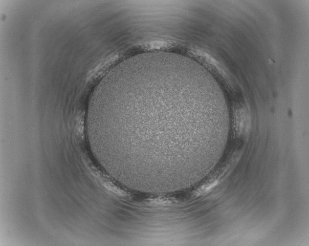 X0000070400545200606161348