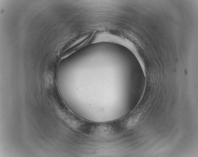 X0000070400546200606161348