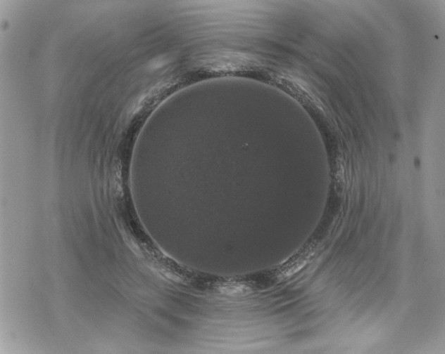 X0000070400547200606161348