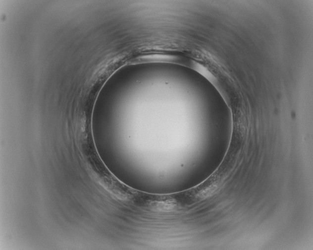 X0000070400548200606161348