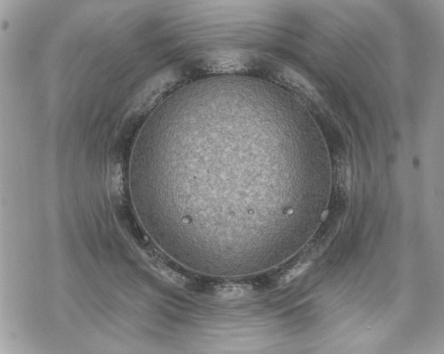 X0000070400549200606161348