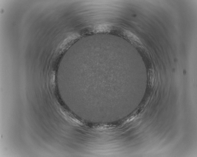 X0000070400550200606161348