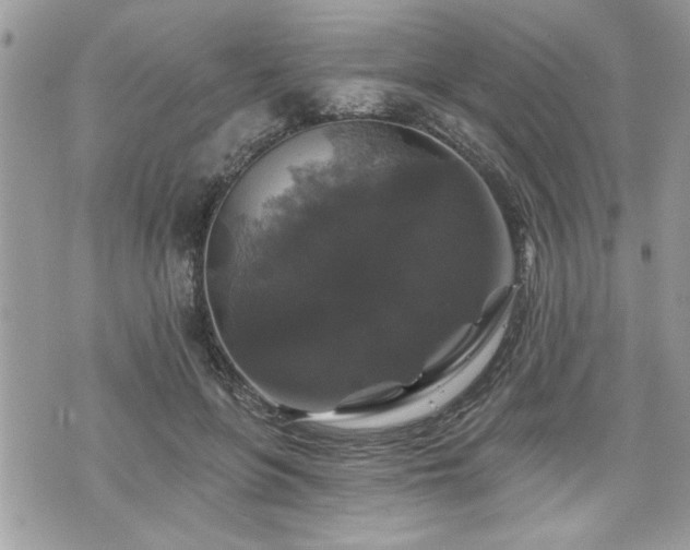 X0000070400551200606161348