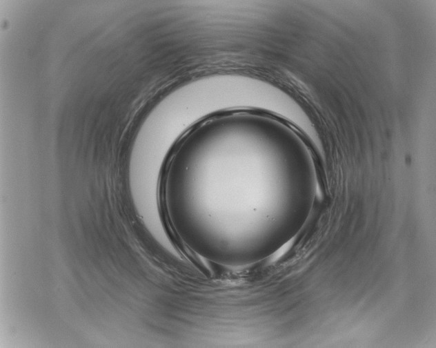 X0000070400552200606161348