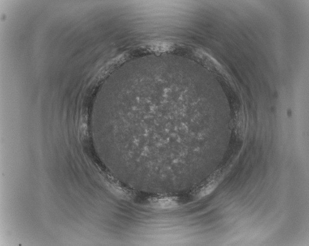 X0000070400553200606161348